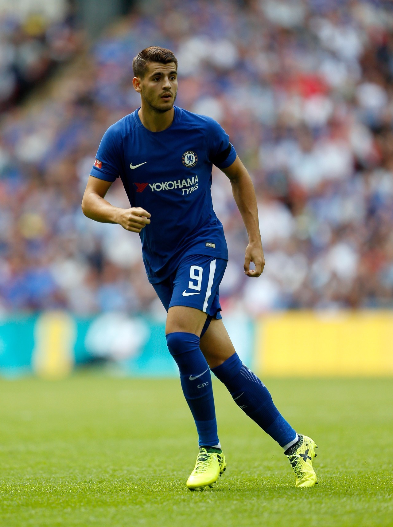 主力阵容的 主力阵容的